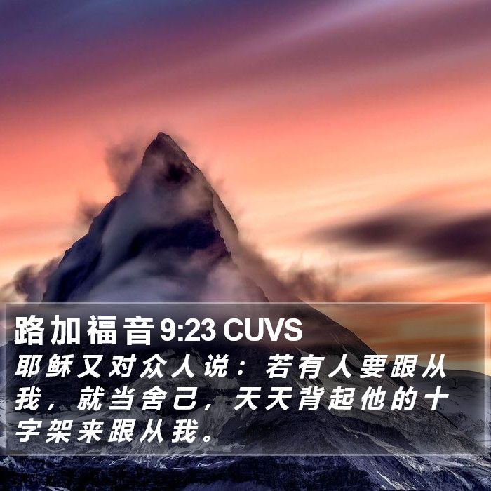 路 加 福 音 9:23 CUVS Bible Study