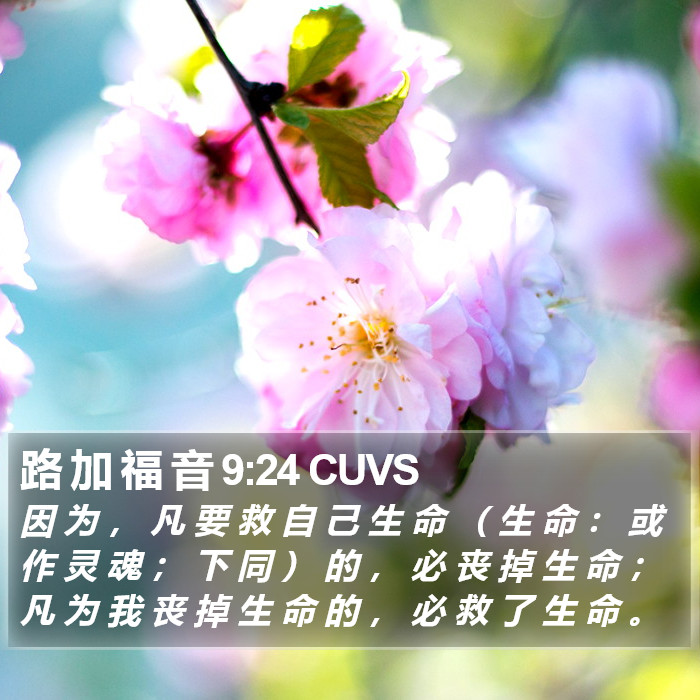 路 加 福 音 9:24 CUVS Bible Study