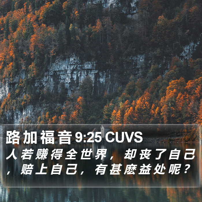 路 加 福 音 9:25 CUVS Bible Study