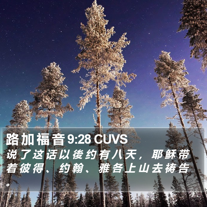 路 加 福 音 9:28 CUVS Bible Study