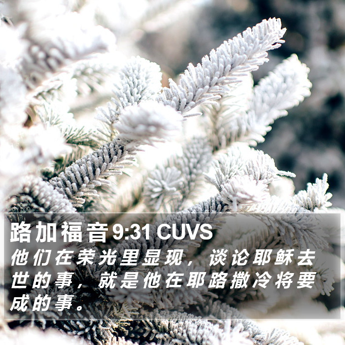 路 加 福 音 9:31 CUVS Bible Study