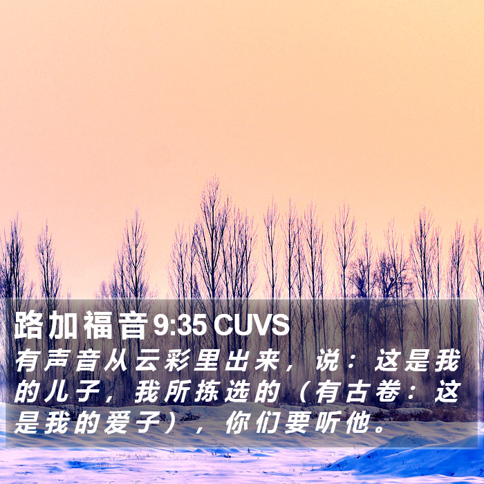 路 加 福 音 9:35 CUVS Bible Study