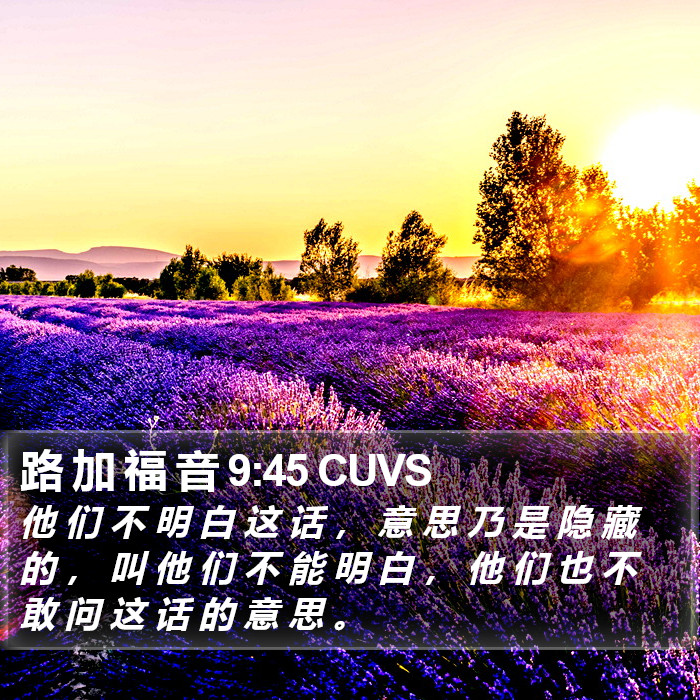 路 加 福 音 9:45 CUVS Bible Study