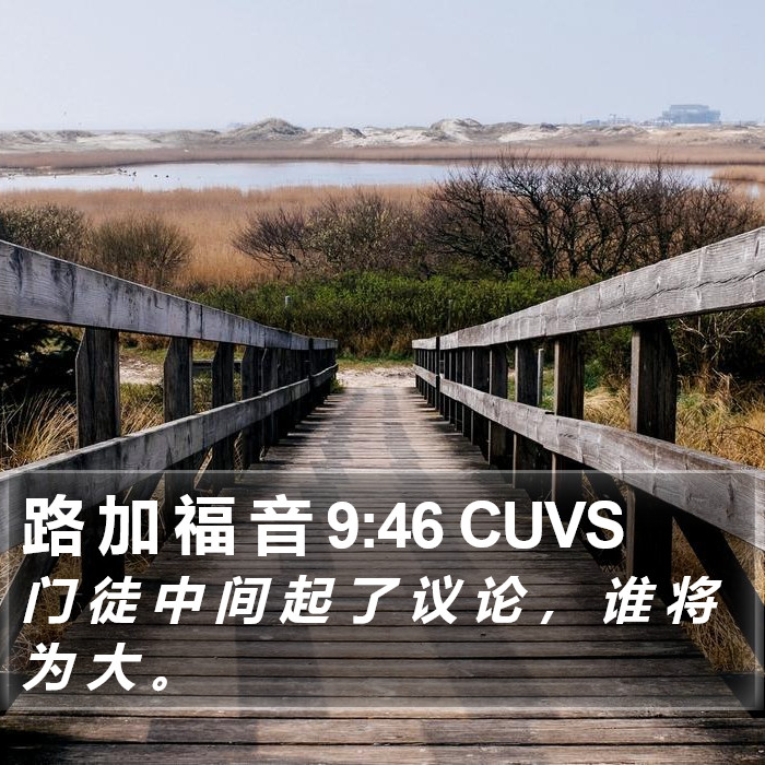 路 加 福 音 9:46 CUVS Bible Study