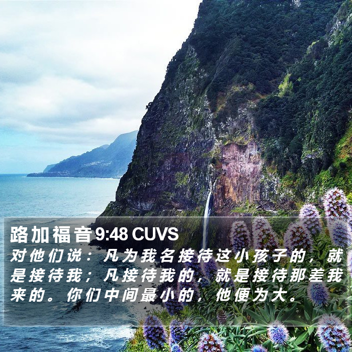 路 加 福 音 9:48 CUVS Bible Study