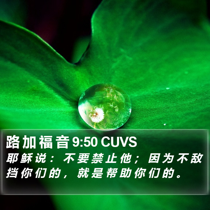 路 加 福 音 9:50 CUVS Bible Study