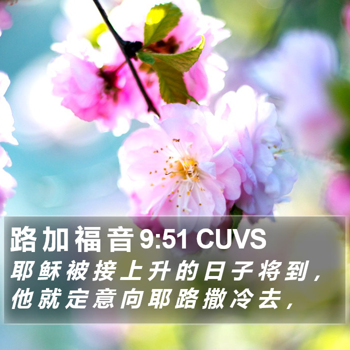 路 加 福 音 9:51 CUVS Bible Study