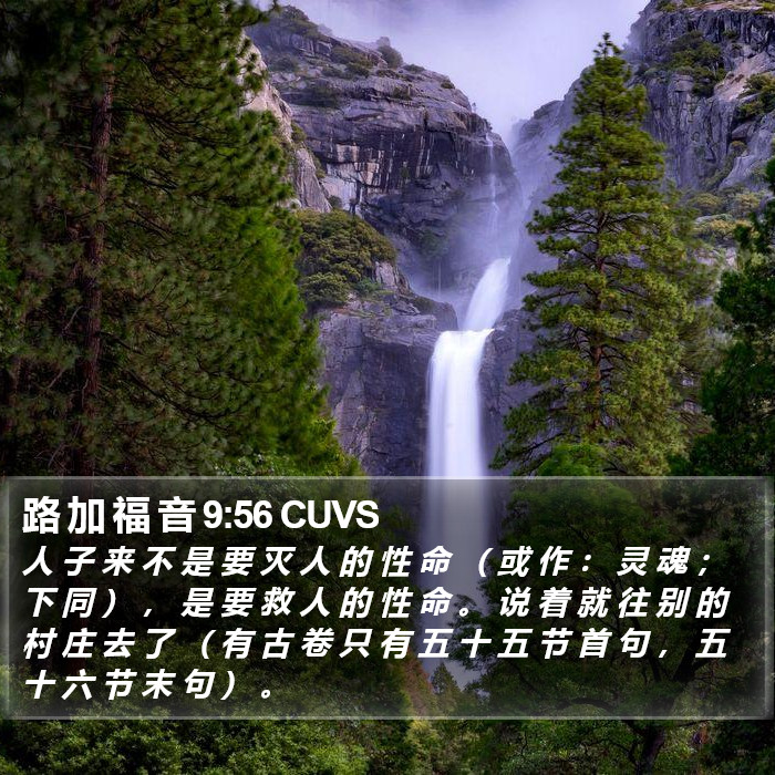 路 加 福 音 9:56 CUVS Bible Study