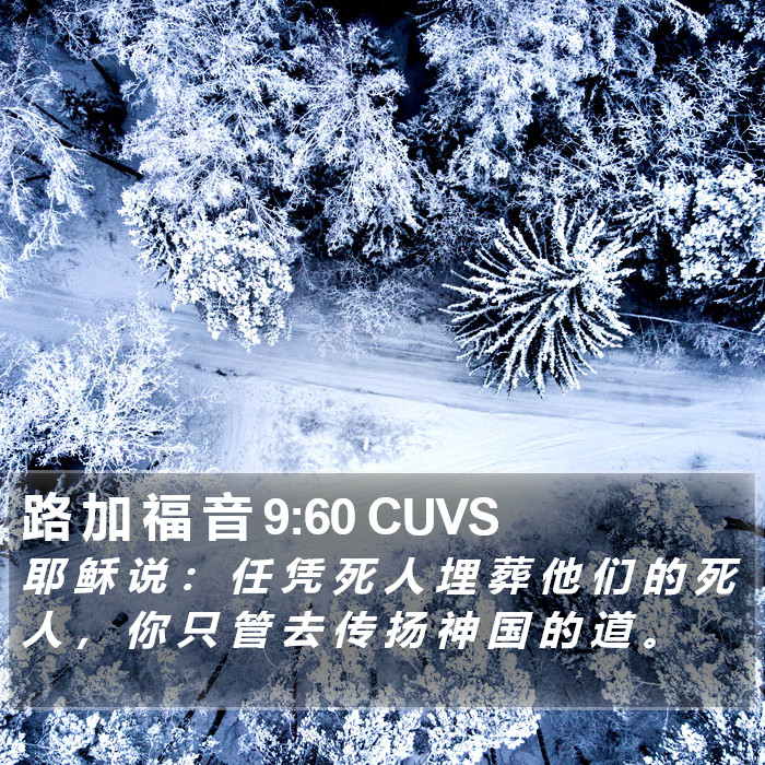 路 加 福 音 9:60 CUVS Bible Study