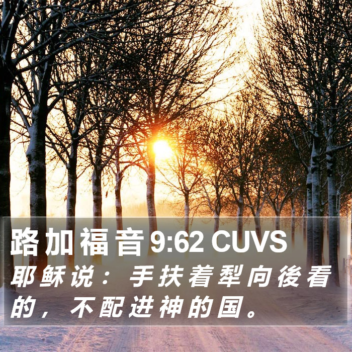 路 加 福 音 9:62 CUVS Bible Study