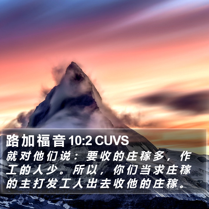 路 加 福 音 10:2 CUVS Bible Study