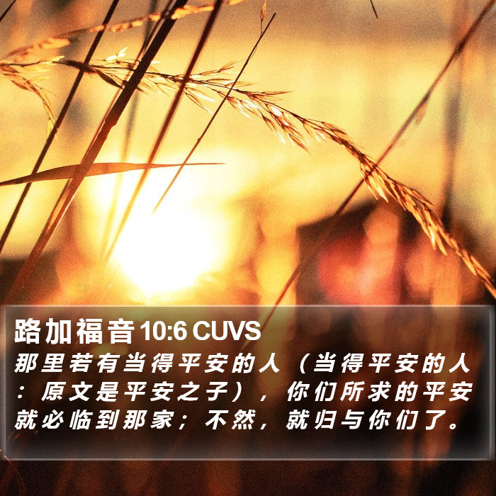 路 加 福 音 10:6 CUVS Bible Study