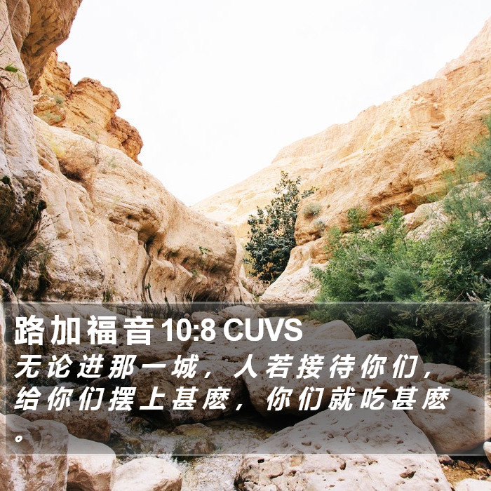 路 加 福 音 10:8 CUVS Bible Study