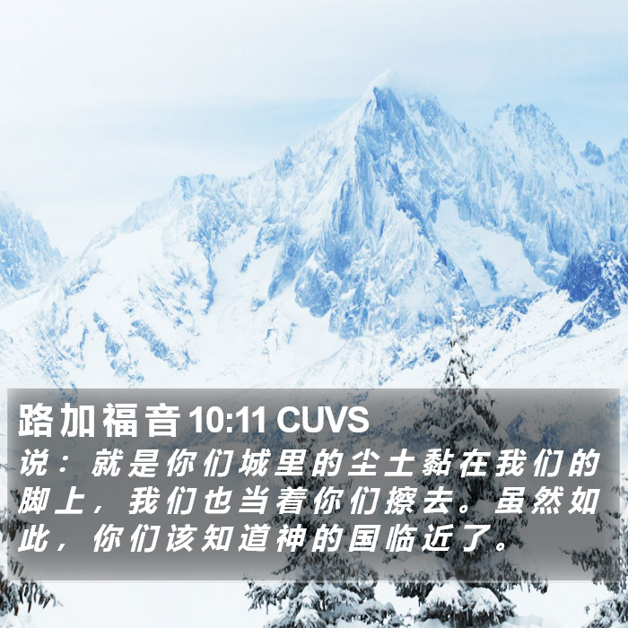 路 加 福 音 10:11 CUVS Bible Study