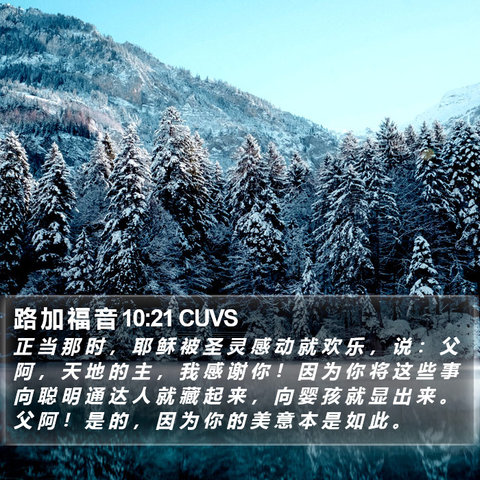 路 加 福 音 10:21 CUVS Bible Study