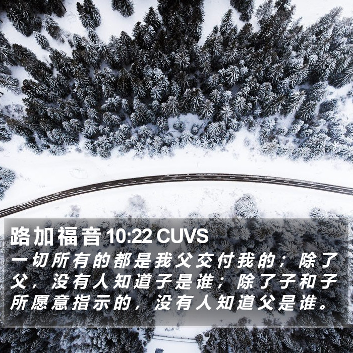 路 加 福 音 10:22 CUVS Bible Study