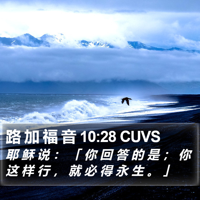 路 加 福 音 10:28 CUVS Bible Study