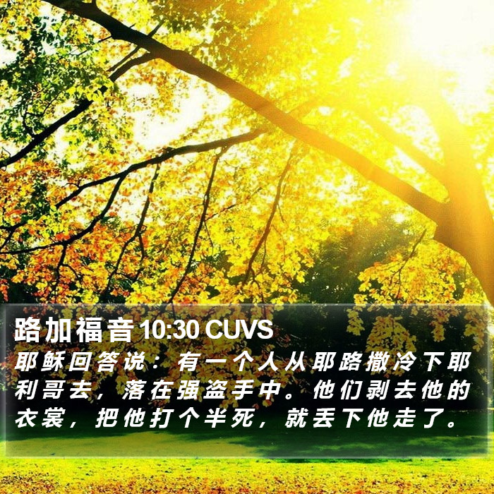 路 加 福 音 10:30 CUVS Bible Study