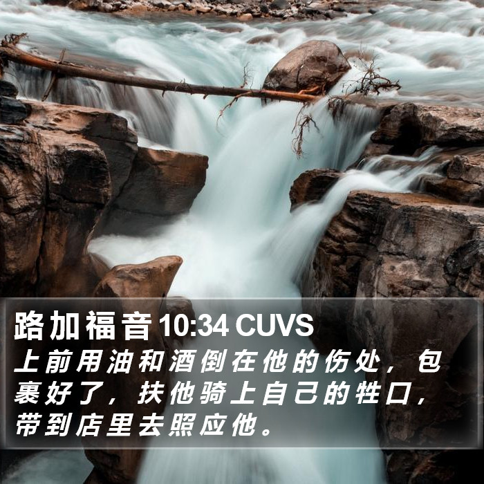 路 加 福 音 10:34 CUVS Bible Study