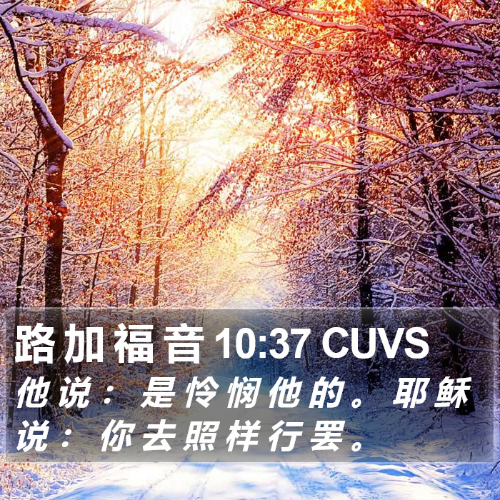 路 加 福 音 10:37 CUVS Bible Study