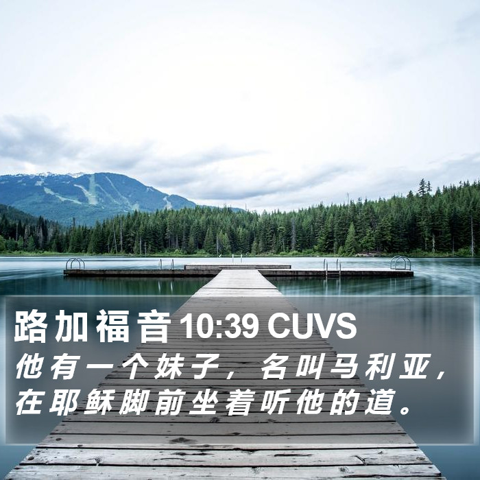 路 加 福 音 10:39 CUVS Bible Study