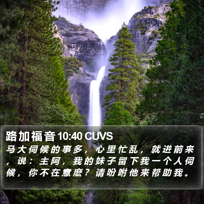 路 加 福 音 10:40 CUVS Bible Study