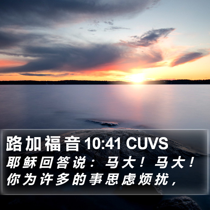 路 加 福 音 10:41 CUVS Bible Study