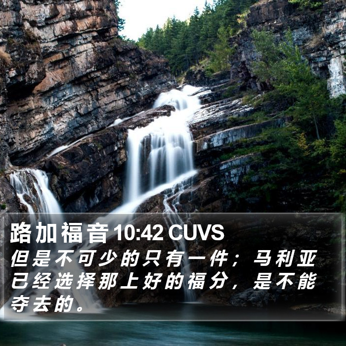 路 加 福 音 10:42 CUVS Bible Study