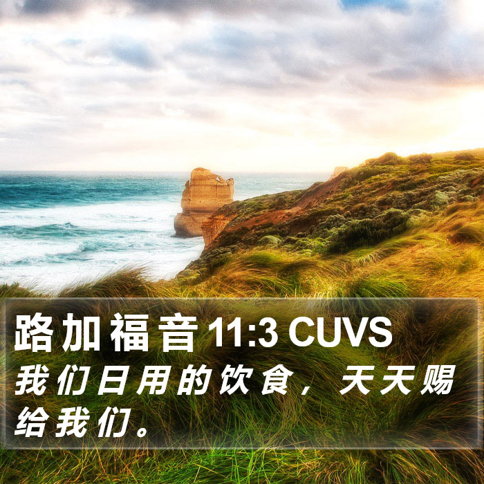 路 加 福 音 11:3 CUVS Bible Study