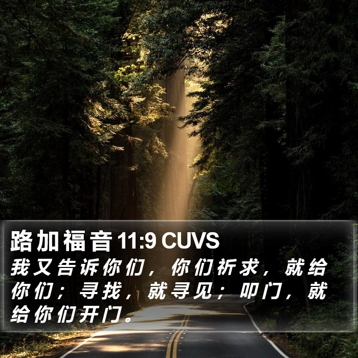 路 加 福 音 11:9 CUVS Bible Study