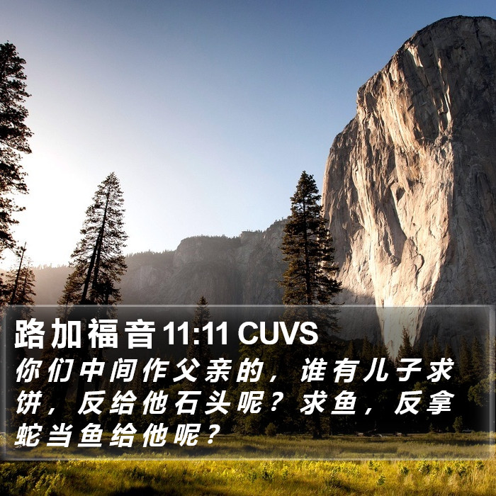 路 加 福 音 11:11 CUVS Bible Study