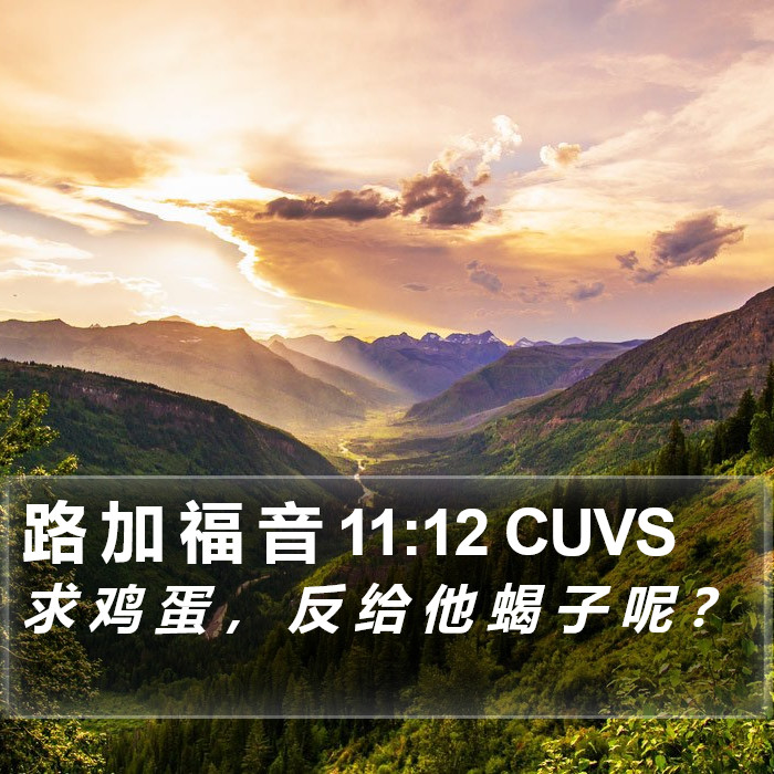 路 加 福 音 11:12 CUVS Bible Study