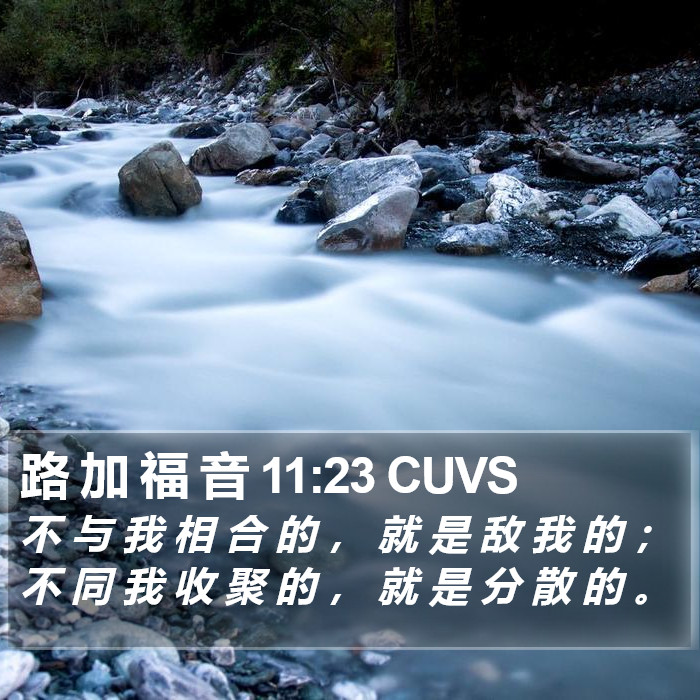 路 加 福 音 11:23 CUVS Bible Study