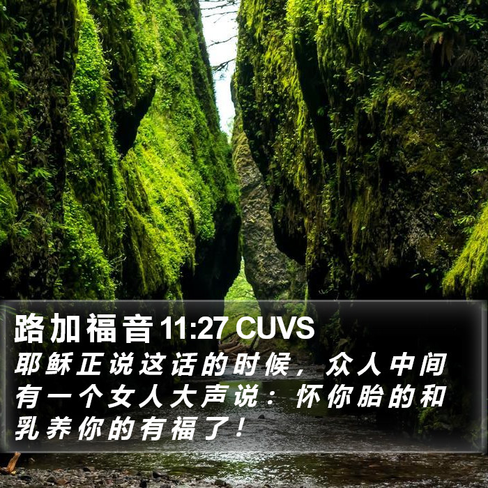 路 加 福 音 11:27 CUVS Bible Study