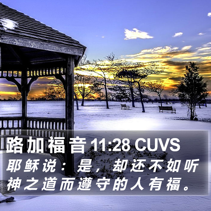 路 加 福 音 11:28 CUVS Bible Study