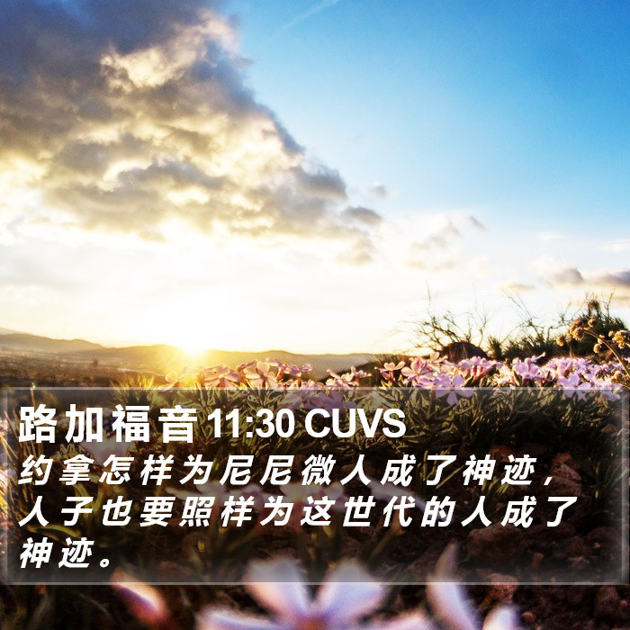 路 加 福 音 11:30 CUVS Bible Study