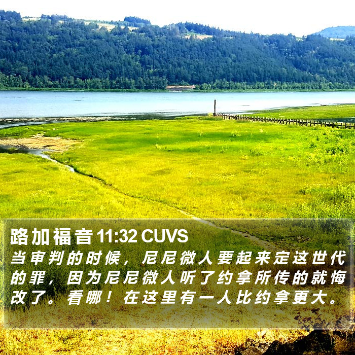 路 加 福 音 11:32 CUVS Bible Study