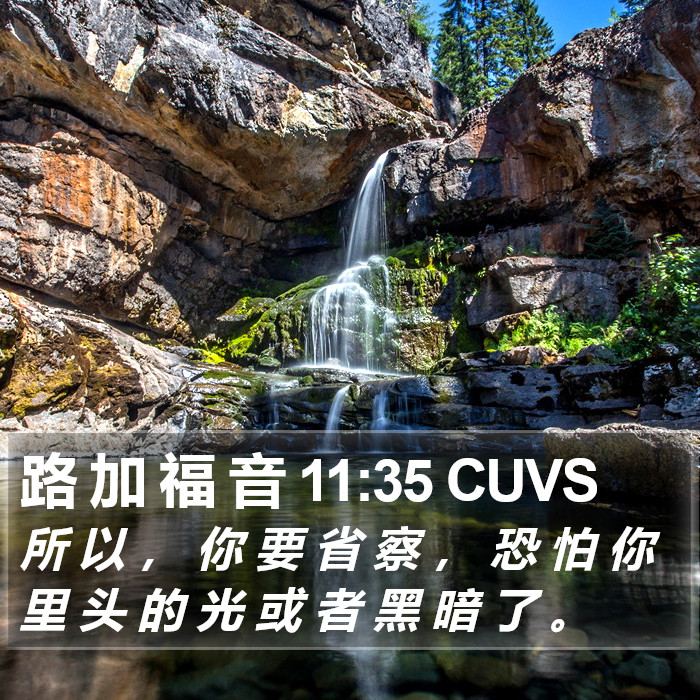 路 加 福 音 11:35 CUVS Bible Study