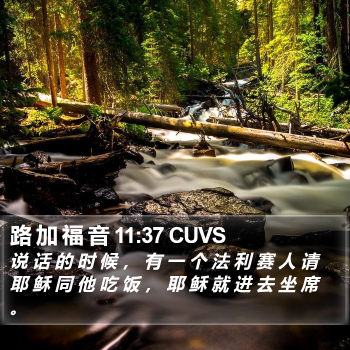 路 加 福 音 11:37 CUVS Bible Study