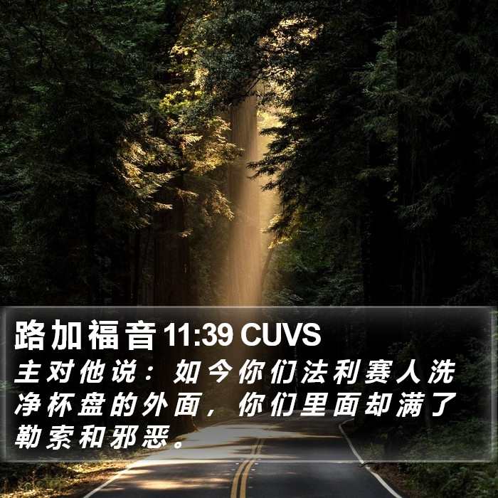 路 加 福 音 11:39 CUVS Bible Study