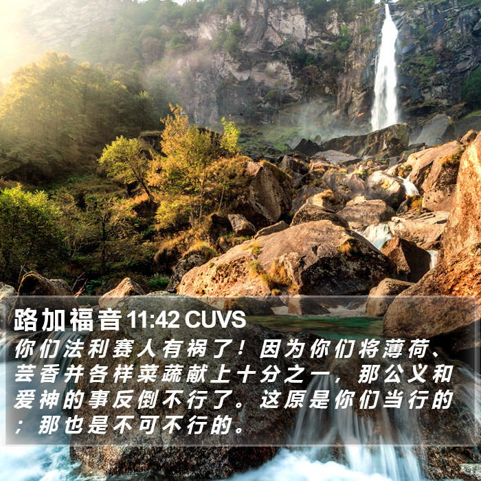 路 加 福 音 11:42 CUVS Bible Study