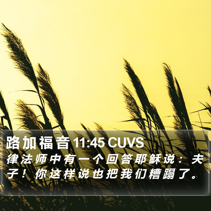 路 加 福 音 11:45 CUVS Bible Study