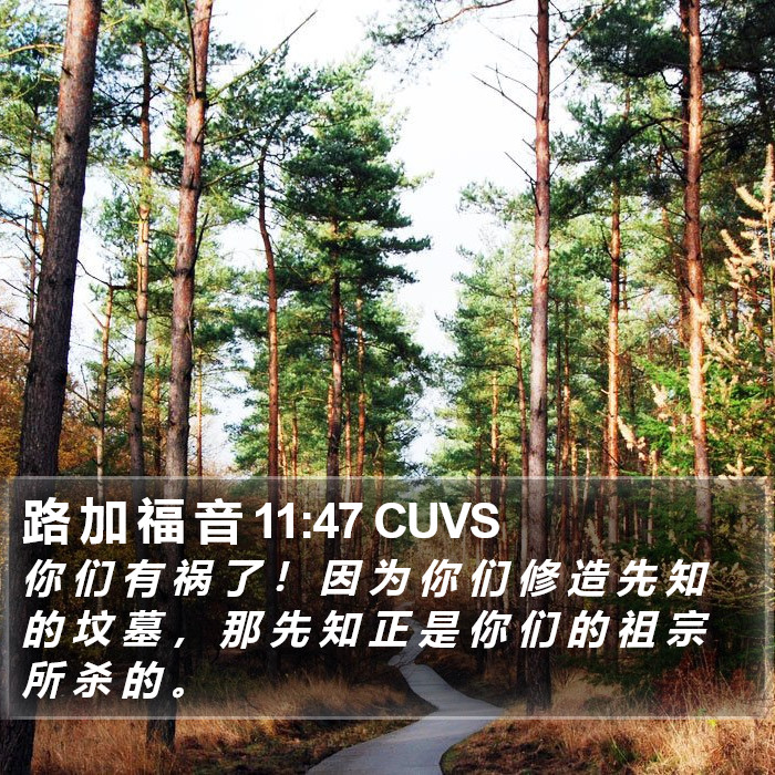 路 加 福 音 11:47 CUVS Bible Study