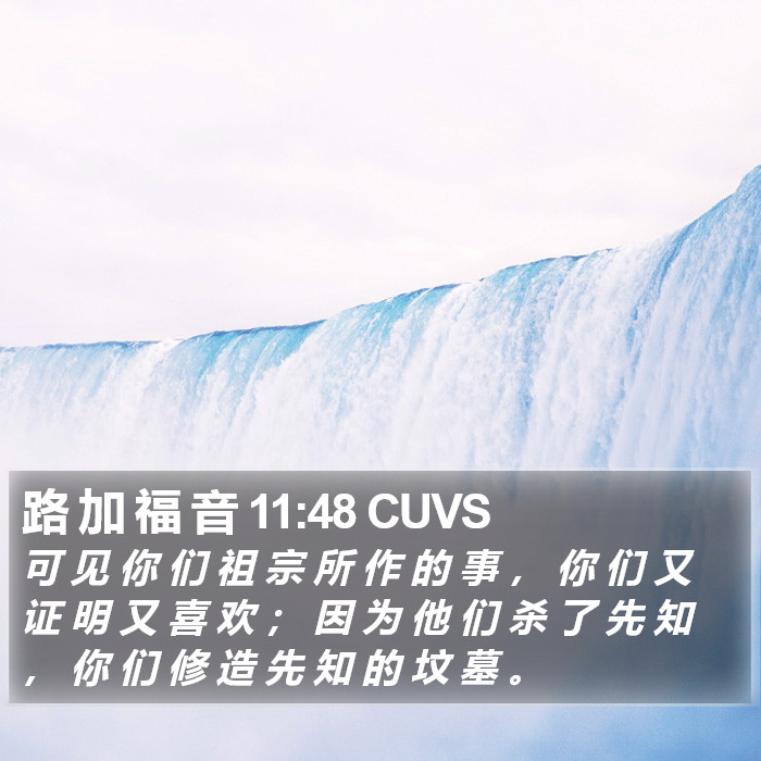 路 加 福 音 11:48 CUVS Bible Study