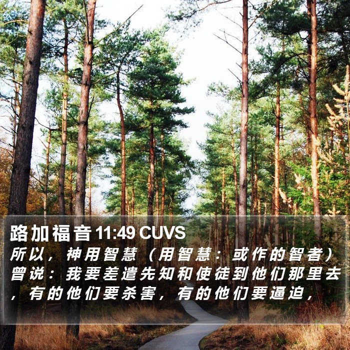 路 加 福 音 11:49 CUVS Bible Study