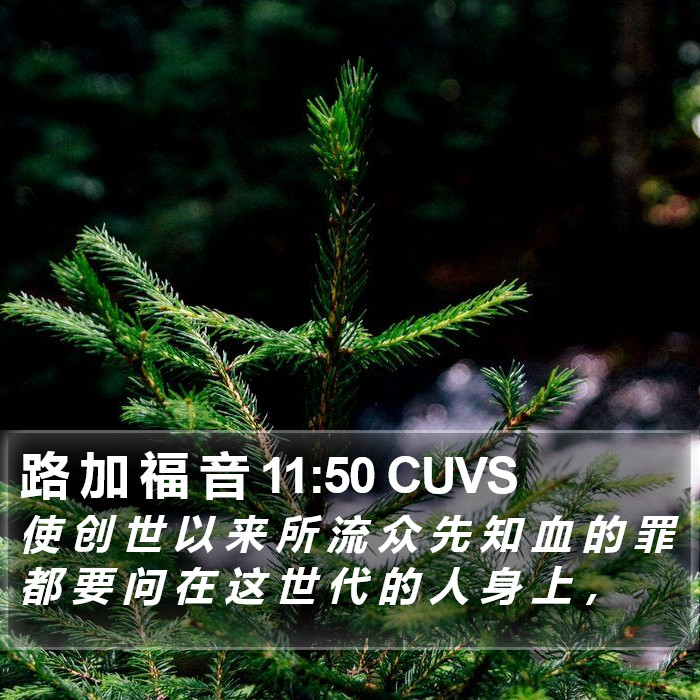 路 加 福 音 11:50 CUVS Bible Study