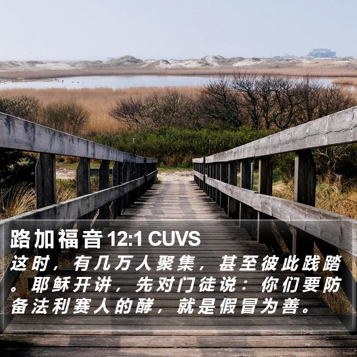 路 加 福 音 12:1 CUVS Bible Study