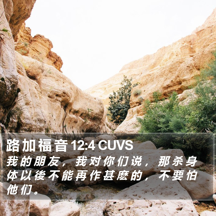 路 加 福 音 12:4 CUVS Bible Study