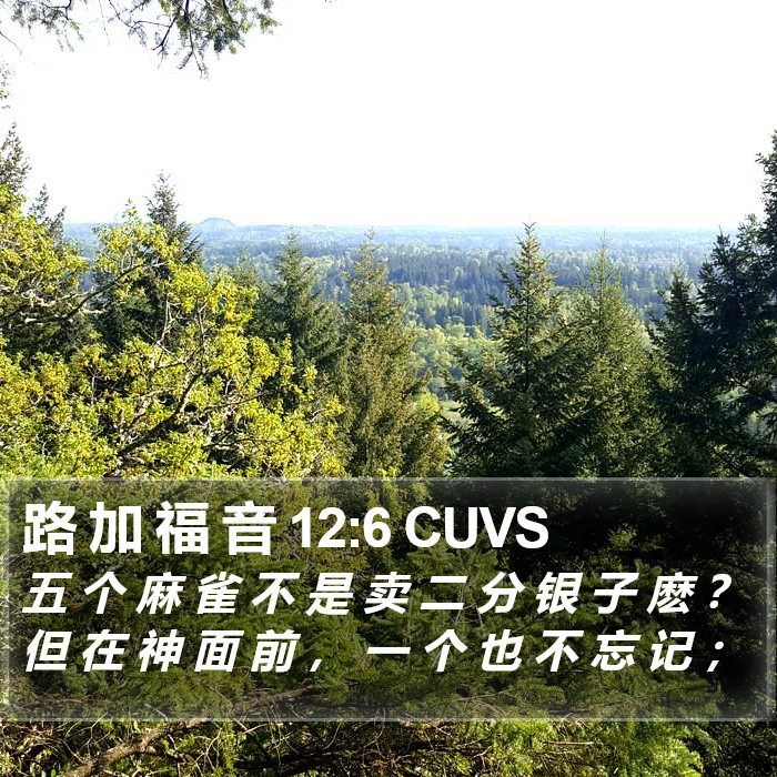 路 加 福 音 12:6 CUVS Bible Study