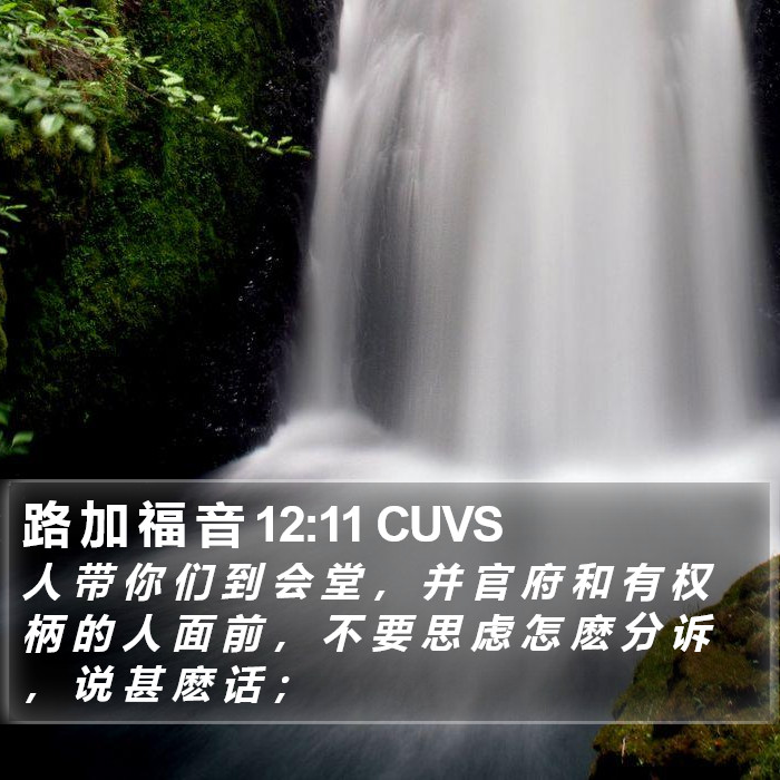 路 加 福 音 12:11 CUVS Bible Study